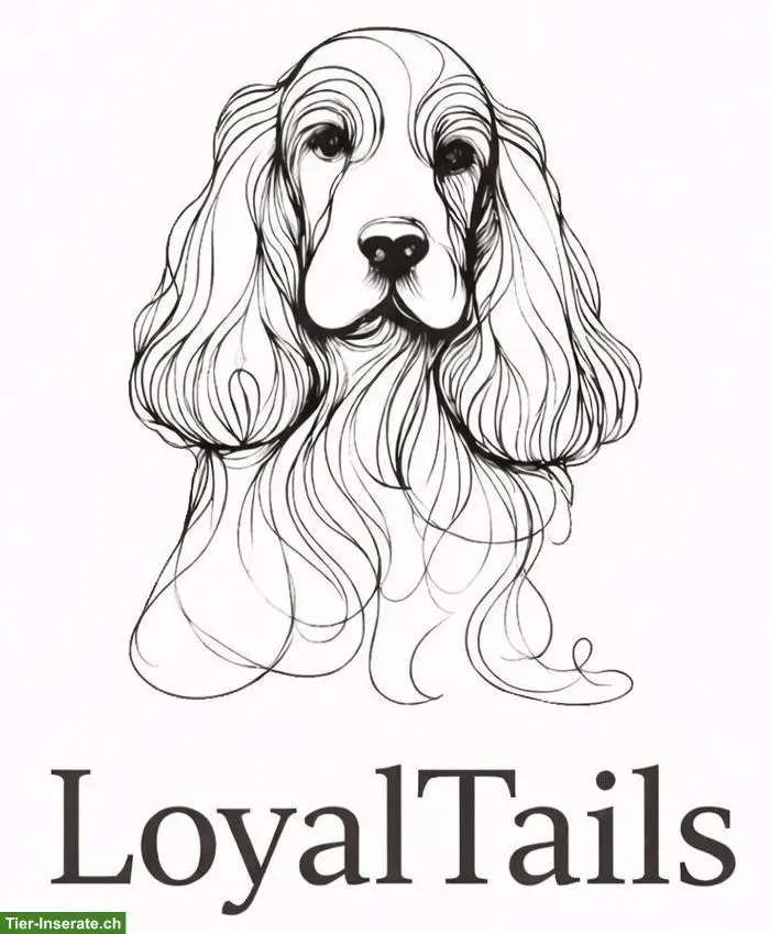 LoyalTails Hundebetreuung, wir sorgen für HappyTails