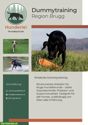 Dummytraining Region Brugg - Basic oder leicht Fortgeschritten