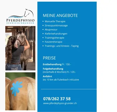 Pferdephysiotherapie in Fulenbach SO