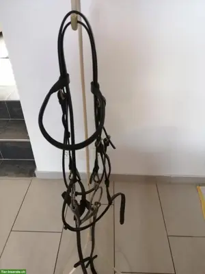 Reitzaum aus braunem Leder mit Zügel, WB, zu verkaufen