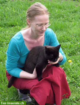 Beratung & Energetische Tierbehandlungen/Tiertherapie, Raum Thun