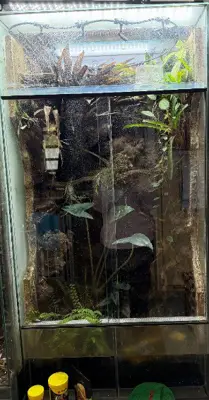 Hochterrarium
