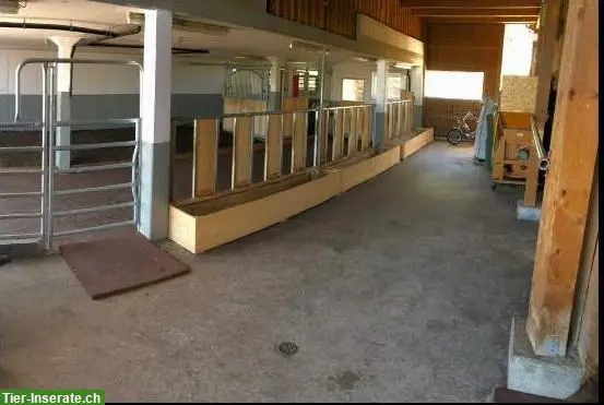 1 freier Einstellplatz in Wallachgruppe, Kanton Appenzell A.R.