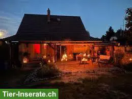 Bauernhaus, kleines Haus, Parterrewohnung-Bauernhaus, Stöckli