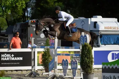 Springpferd zu verkaufen, ideal für Amateure