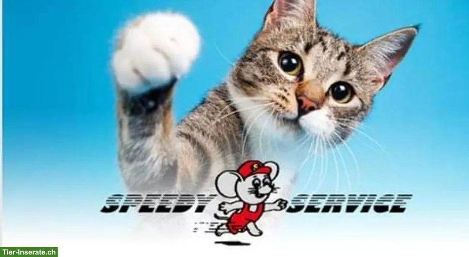 Speedy Service | Die Haus- und Tierbetreuung seit 1995