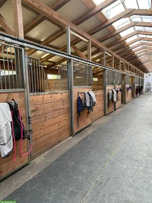 Vermieten Auslauboxe & Innenboxen in Dielsdorf/Niederhasli