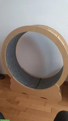 Neues Katzenlaufrad zu verkaufen