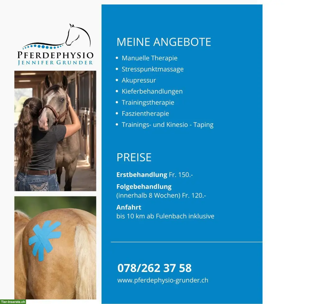 Pferdephysiotherapie