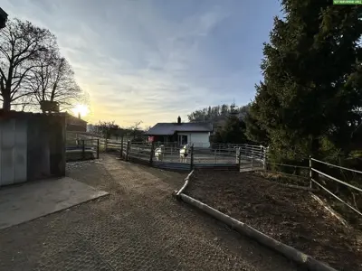 Pferde Offenstall bei Kirchberg SG