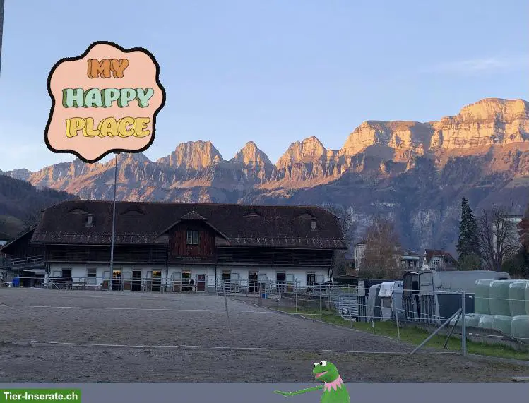Pferdehof Bünte Flums