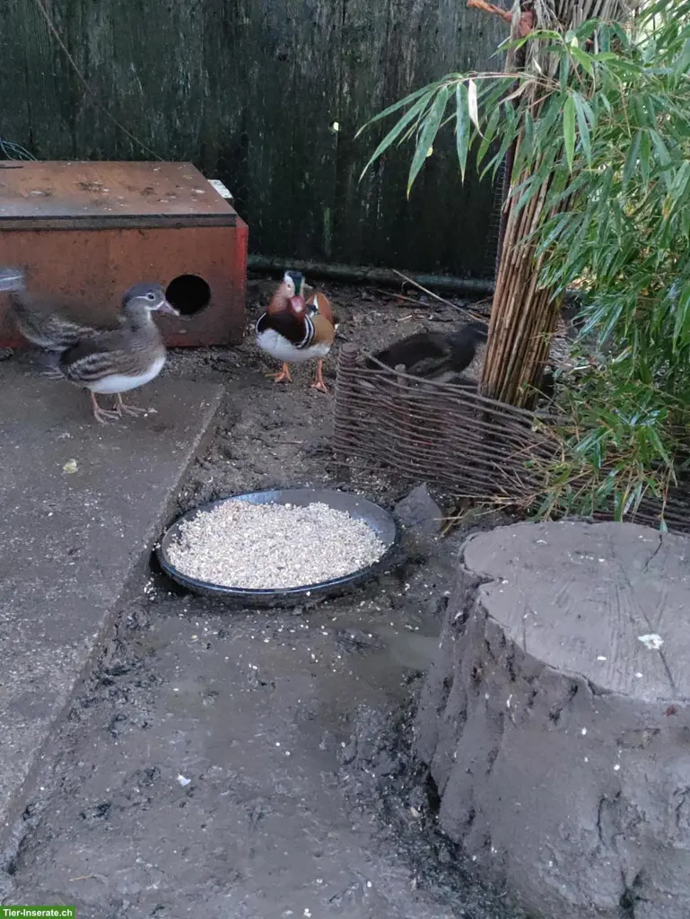 unnamed