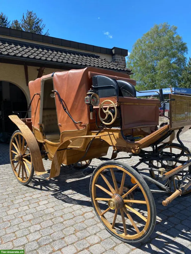 Dressurwagen Franc Vis‑à‑vis‑Kutsche