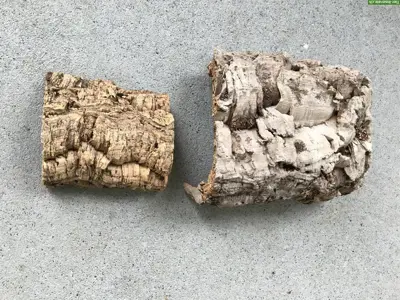 Terrarium Zubehör zu verkaufen