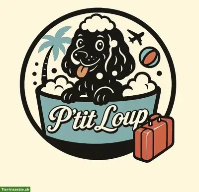 Hundebetreuung: Hundehort, Spazierdienst, Hundesalon