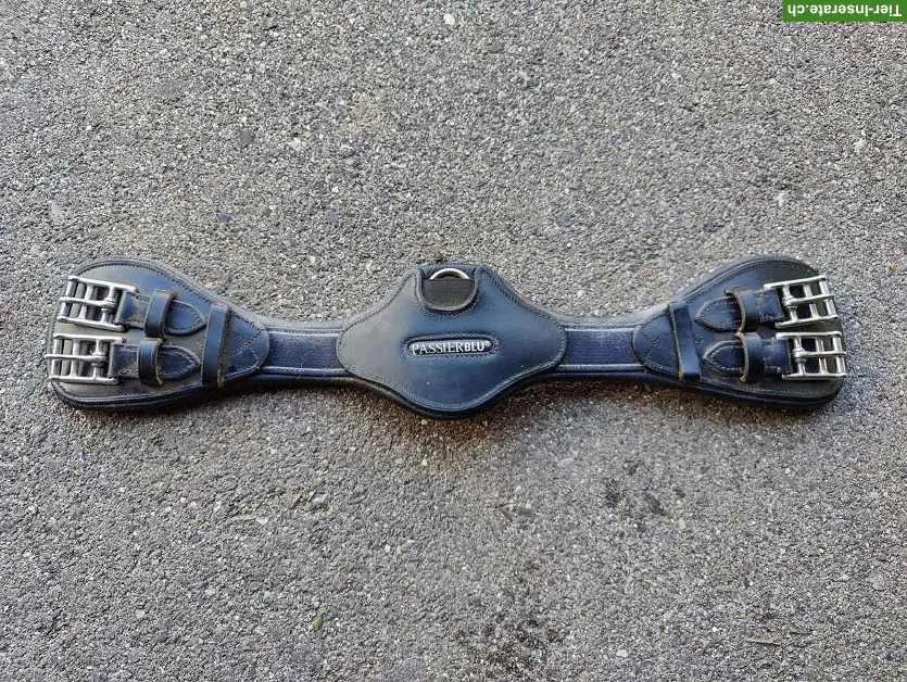 Sattelkurzgurte Neopren Kavalkade & Passier blue