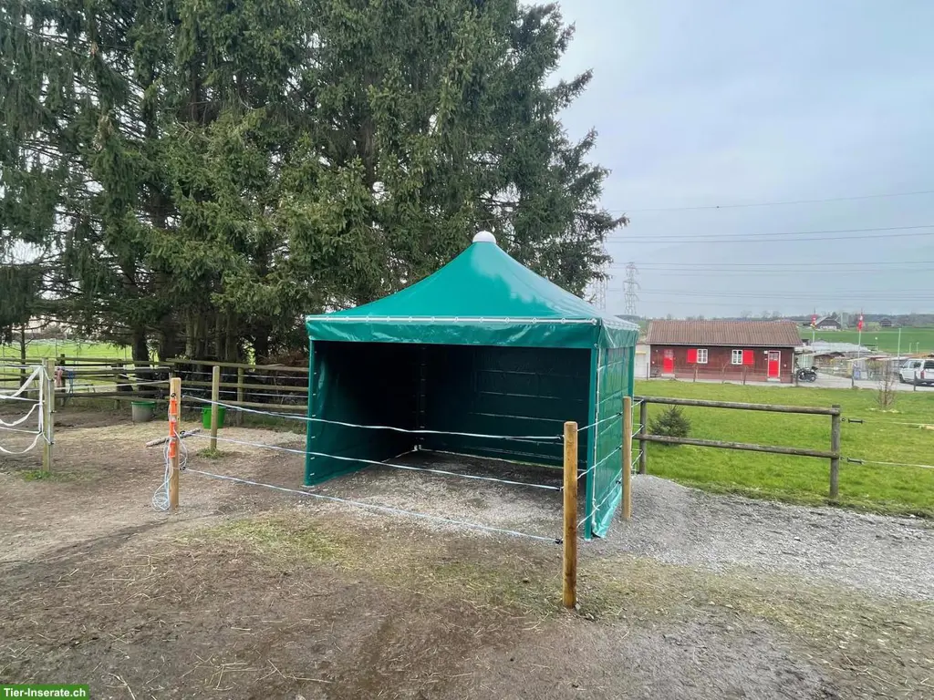 Texbau Weidezelt Pavillon Ascona, 6x4m