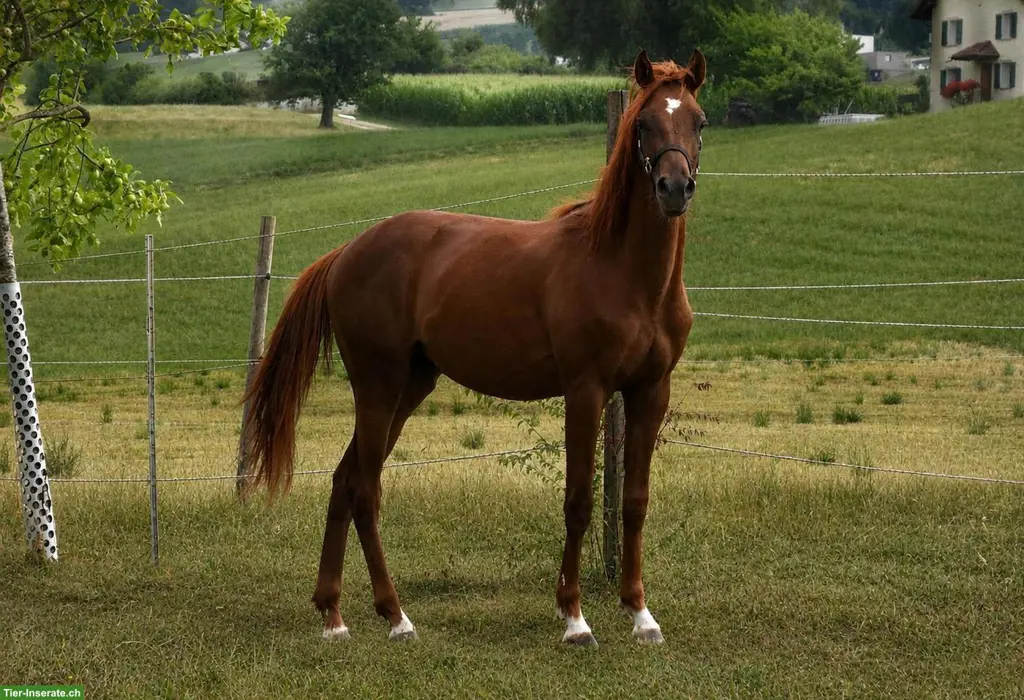 unnamed