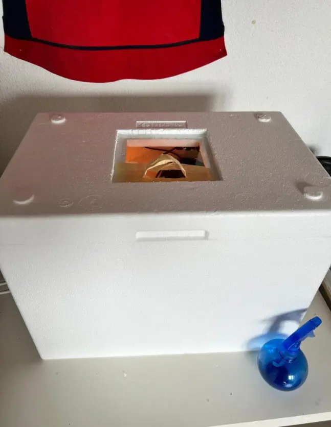 Brutkasten (Eigenbau) für Enten oder Hühner