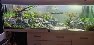 Aquarium 720 L 200x60x60 komplett – Daytime LED, CO2, Red Sea