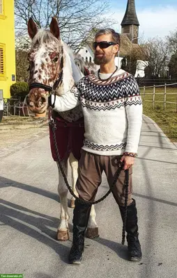 Reitbeteiligung gesucht in der Region Zürich/Affoltern/Dielsdorf
