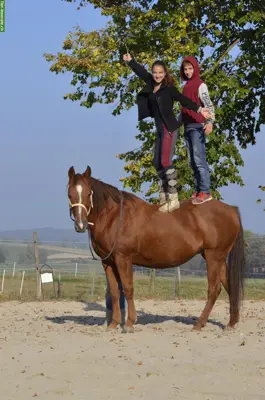 Tiere erleben - für Kinder in Wallbach im Aargau
