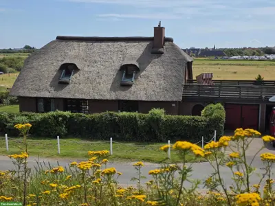 Reetdach Ferienhaus Strandperle in St. Peter-Ording