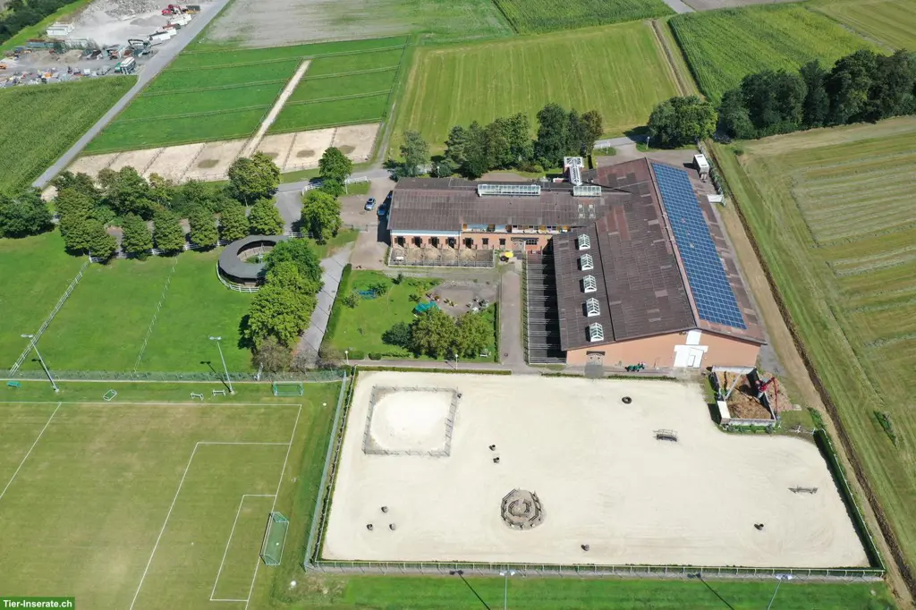 Sehr schöne Reitanlage (23 Pferdeboxen) zu verpachten