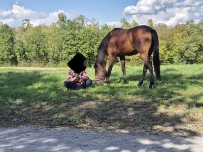 Reitbeteiligung in Höri