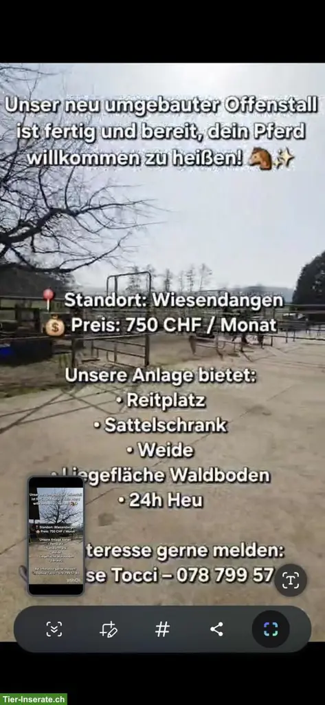 Offenstallplätze frei in Wiesendangen ZH