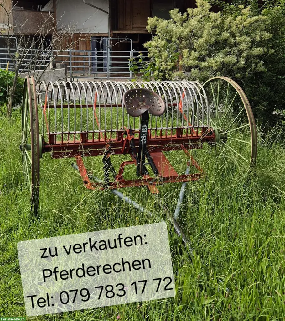 Verkauf: Pferderechen mit Anhängedeichsel