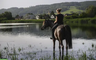 Kids & Horses / Coaching und Horsemanship