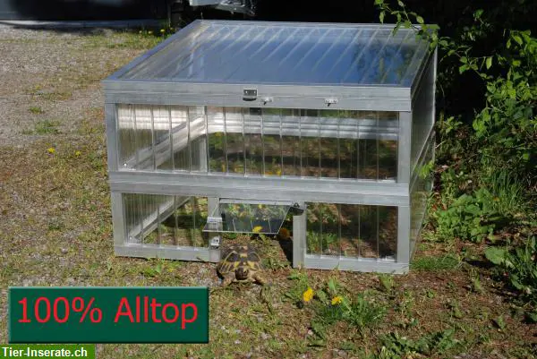 Schildkrötenhaus Top100Low, Frühbeet Alltop 16mm Plexiglas