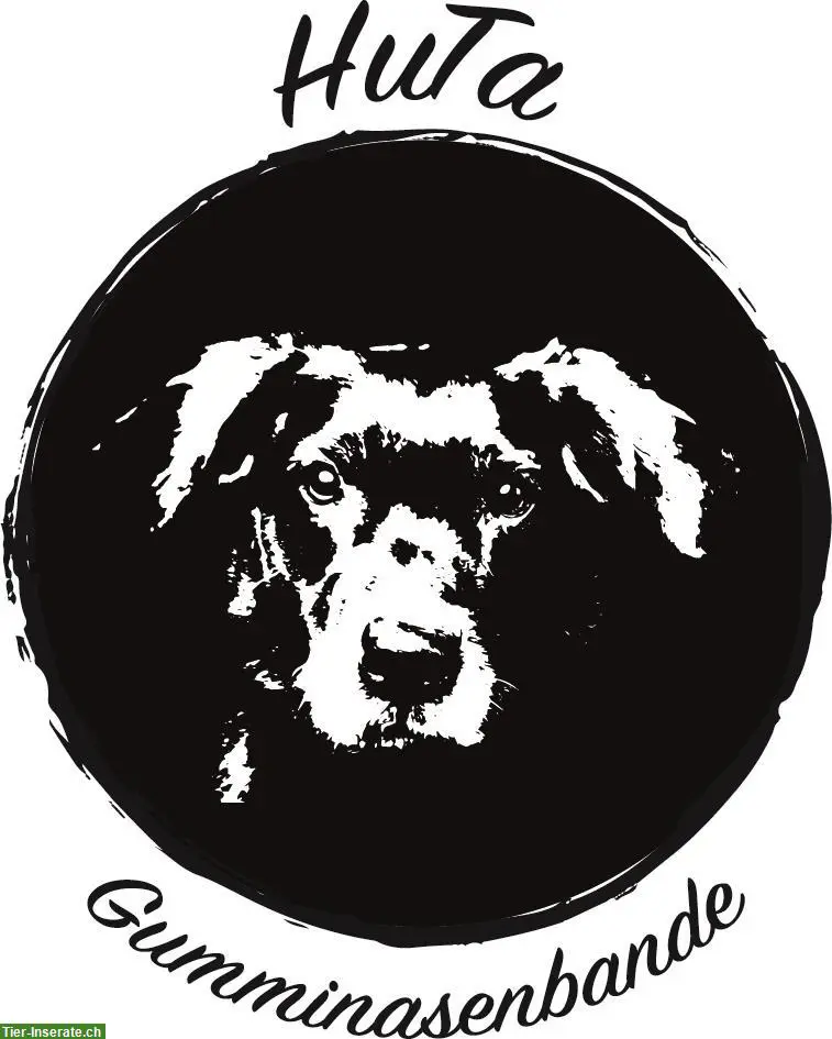Hundebetreuung Stadt Winterthur: Freie Betreuungsplätze