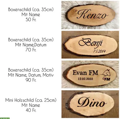 Boxenschilder aus Holz (Brandmalerei) zu verkaufen