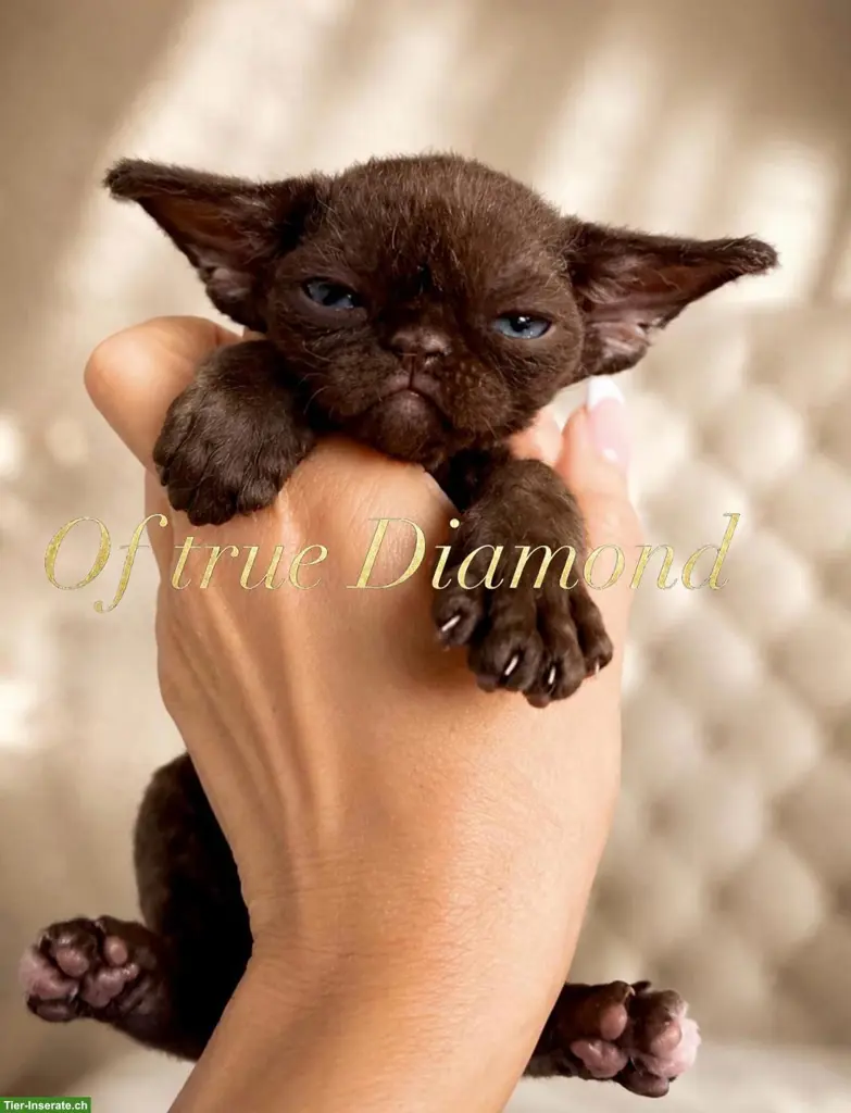 unnamed