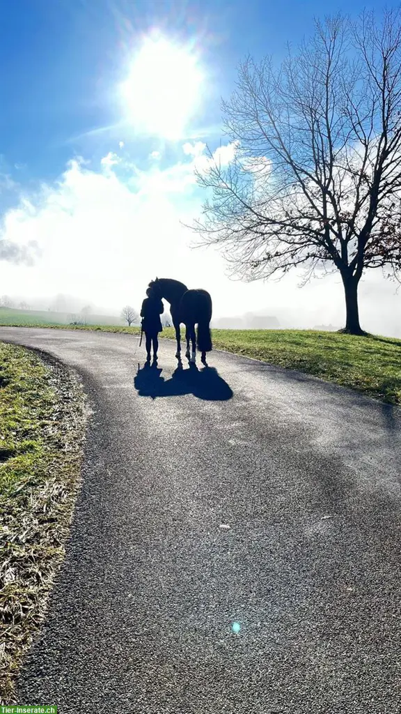 Pflege- und Spazierbeteiligung im Fricktal (1x pro Woche)
