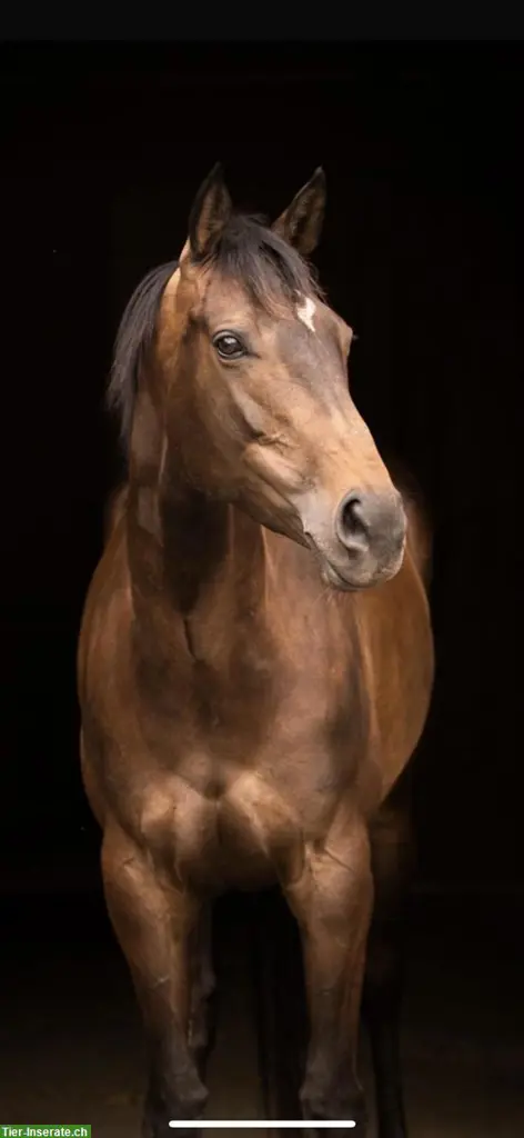 unnamed