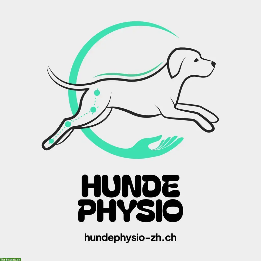 Hundephysiotherapie in Dübendorf, Volketswil, Zürich, Uster ZH