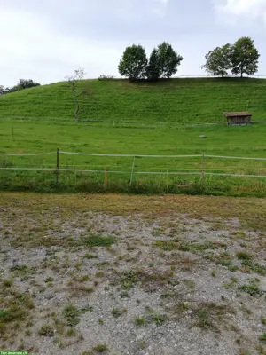 Pferdeboxe mit Weideland zu vermieten, 5046 Schmiedrued