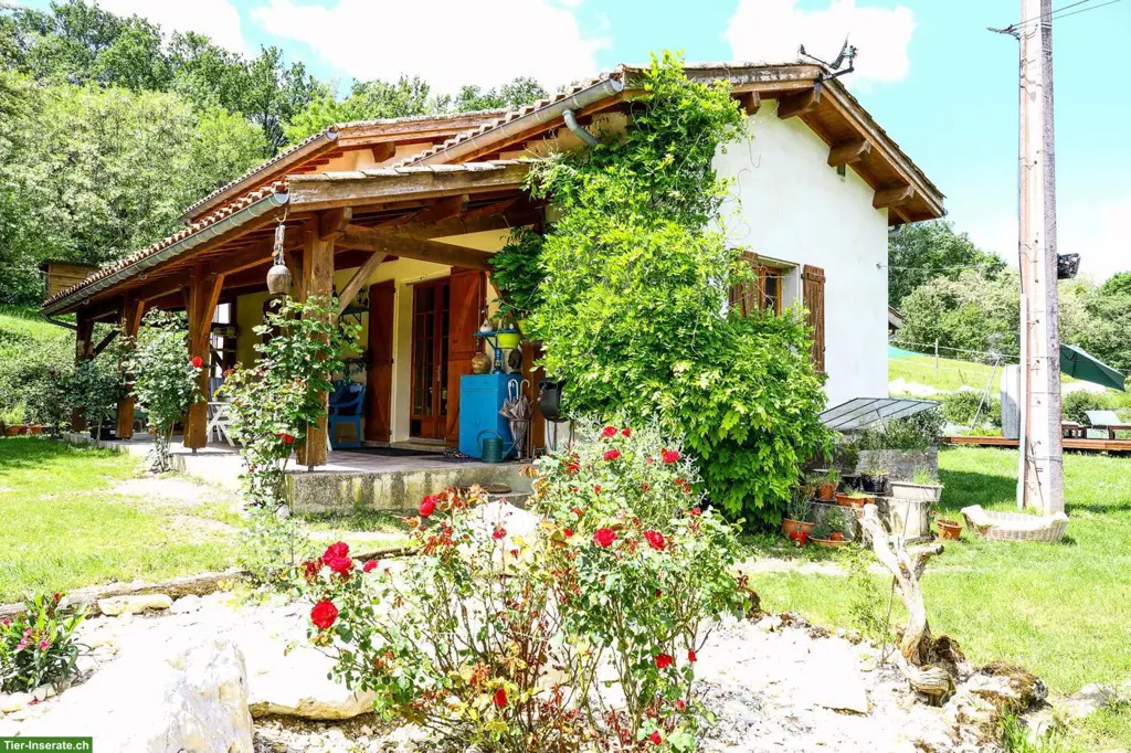 Pferdeparadies mit Haus, Gästehaus & 7.5 ha Land in Südwestfrankreich