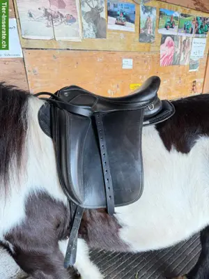 Top Reiter Sattel 17.5 Zoll zu verkaufen