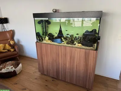 Wunderschönes Aquarium mit Malawi-Fische & Zubehör