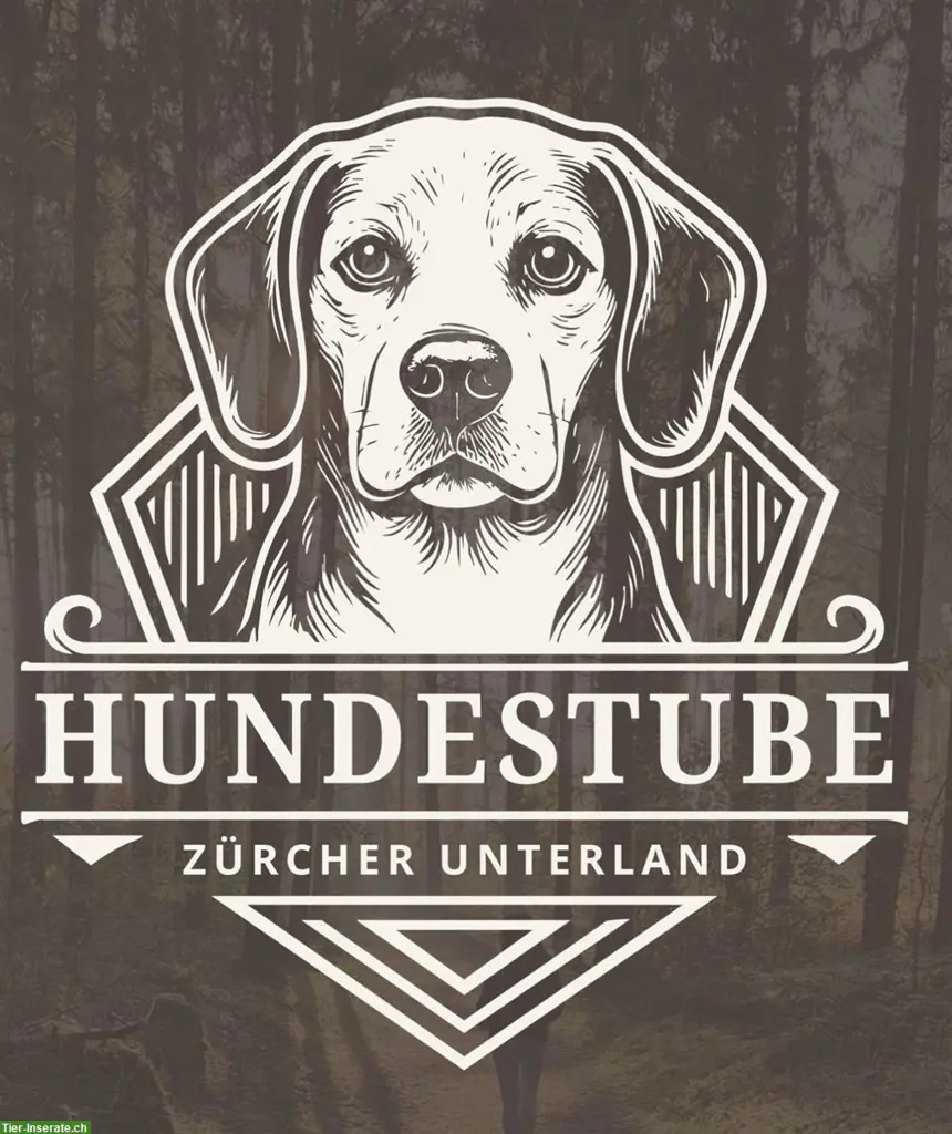 Ganztagesbetreuung Ihrer Lieblinge / Hundebetreuung