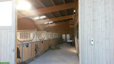 1-2 Auslaufboxen zu vermieten in Eich LU