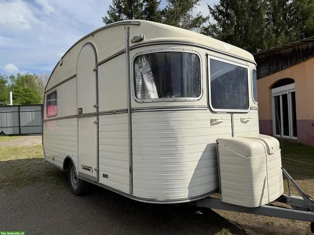 Wohnwagen Constructam Coral 1, renovierungsbedürftig