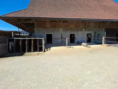 Pensionsplatz in Gruppenhaltung