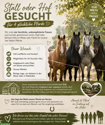 Stall oder Hof gesucht zur Pacht oder Miete für 4 liebe Pferde 🐴❤️