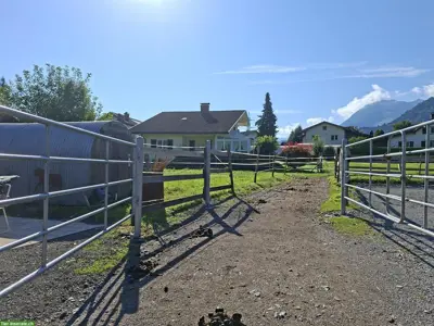 Offenstallplatz frei für Wallache in Frastanz, Österreich