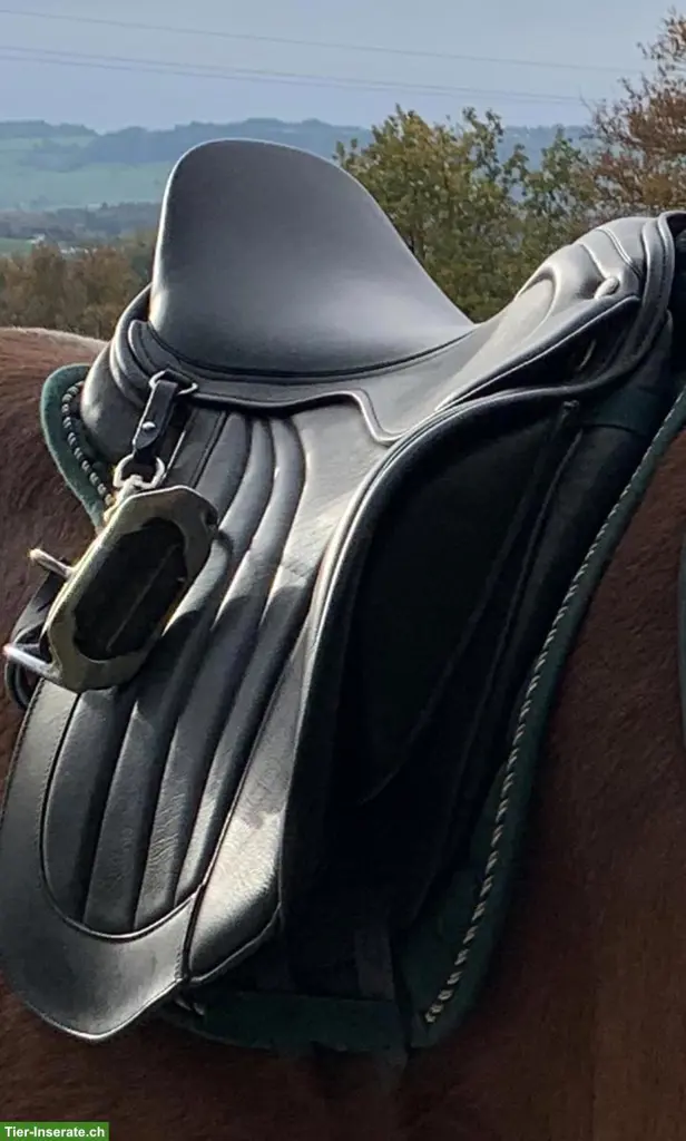 ChampionRider Sattel 17.5 Zoll zu verkaufen
